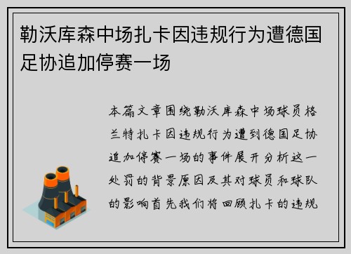 勒沃库森中场扎卡因违规行为遭德国足协追加停赛一场